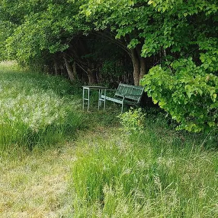 Fewo Kaiser Wolmirstedt Buitenkant foto